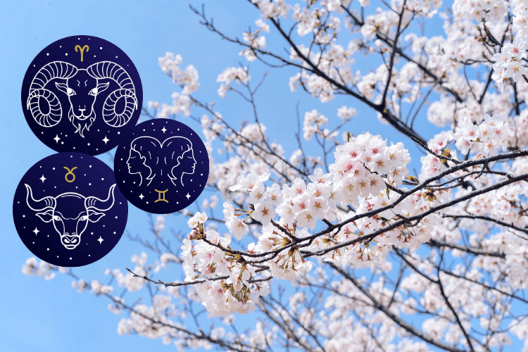 İlkbahar Doğumluların Yenilenme Sırrı